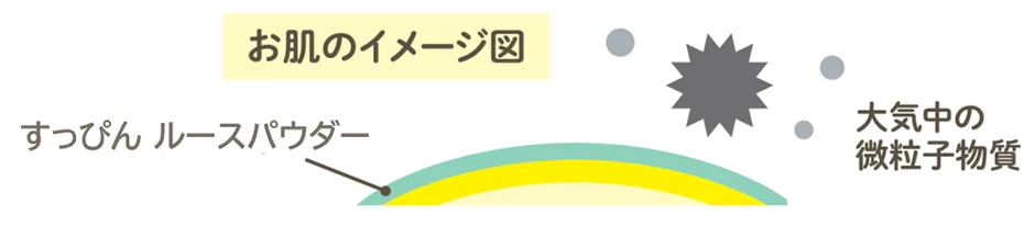 肌のイメージ図