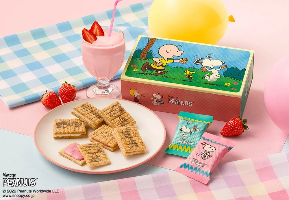 12個入ボックス