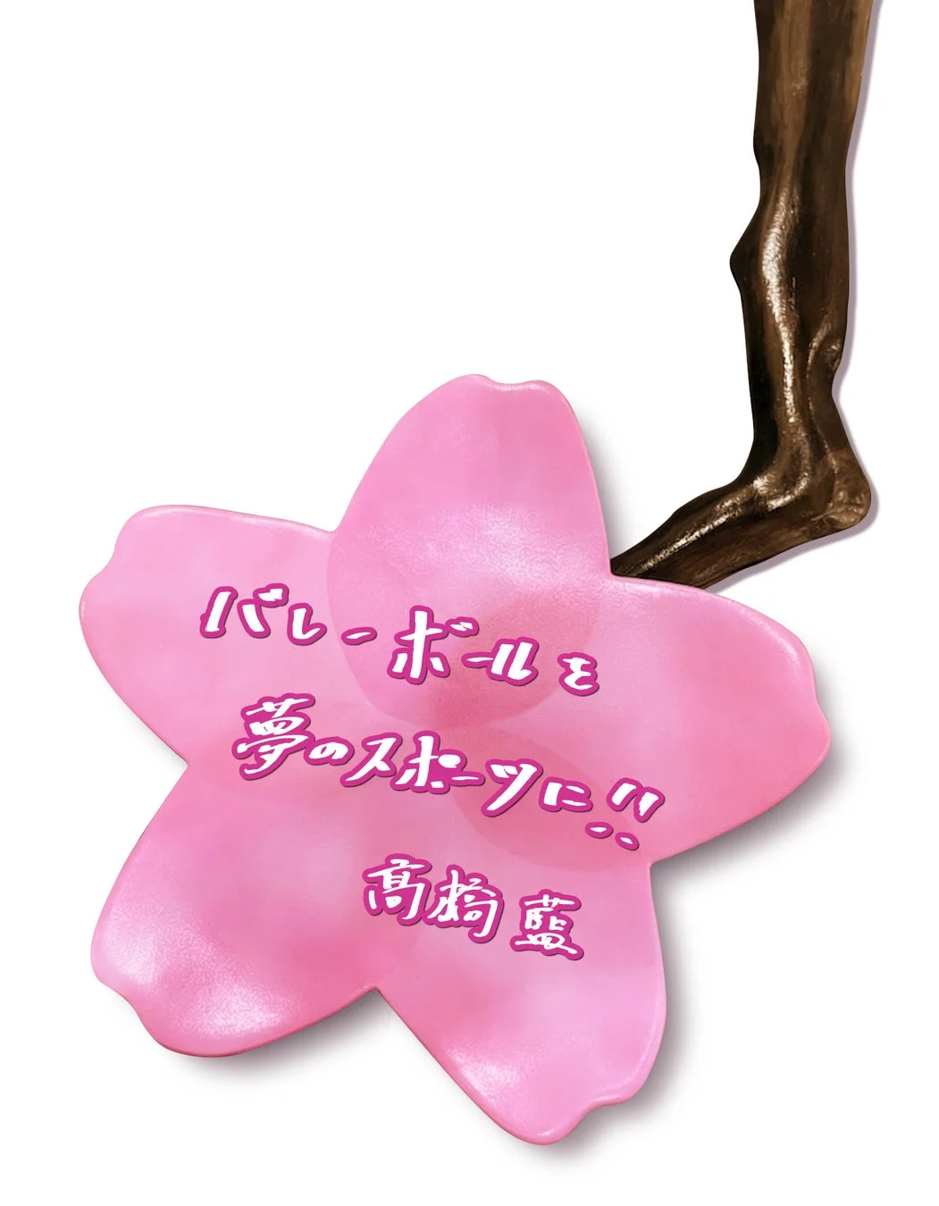 バレーボールを夢のスポーツに!!高橋藍