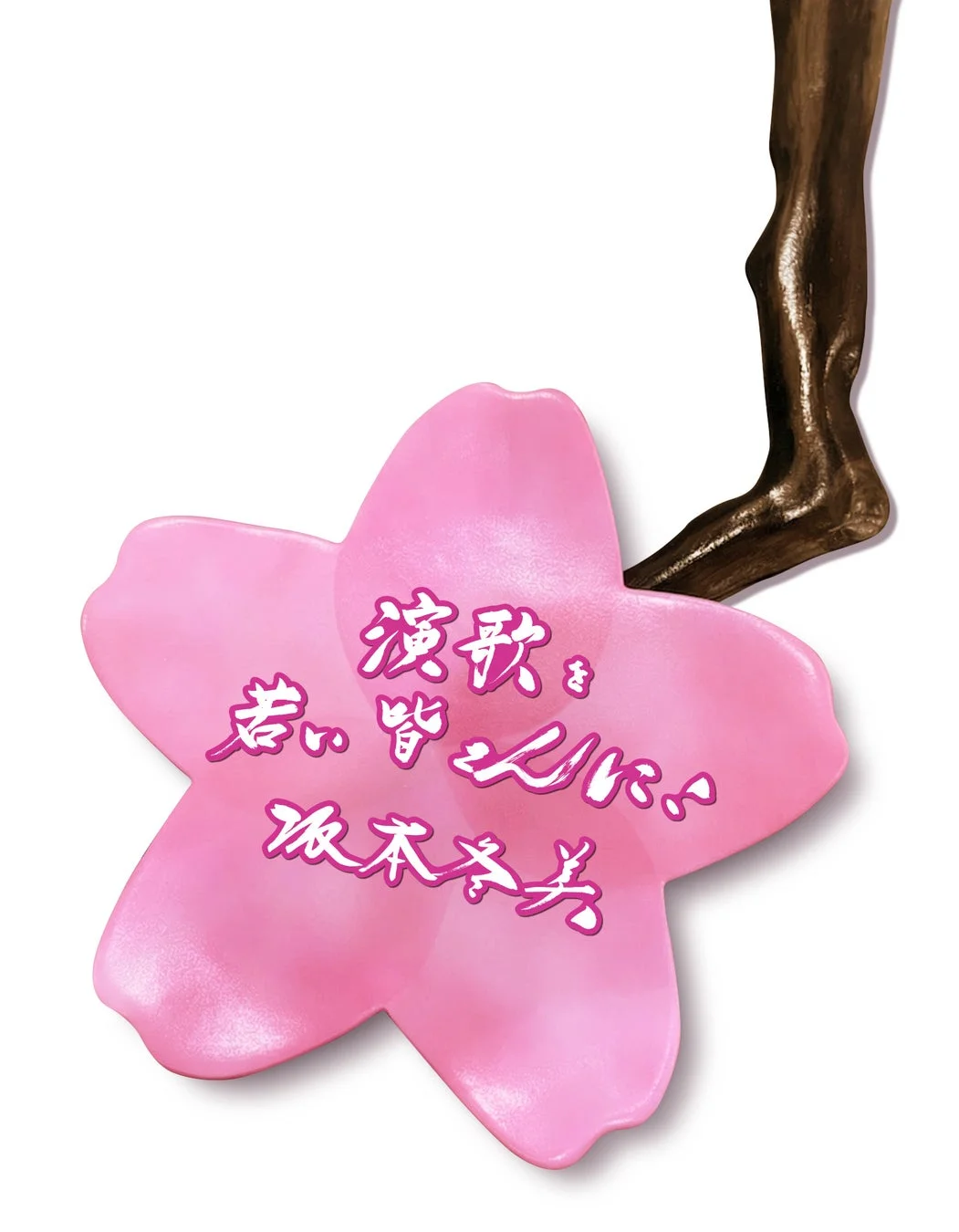 演歌を君と皆さんに坂本冬美