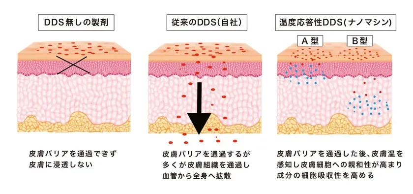 図4: ナノマシンが皮膚細胞に内包成分を高濃度で送達できる仕組みのイメージ