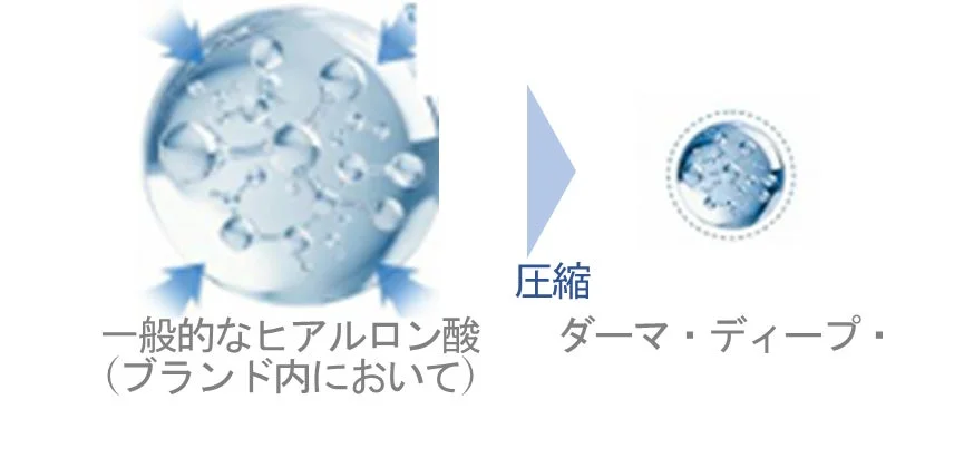 ダーマ・ディープ・ヒアルロン酸の説明図