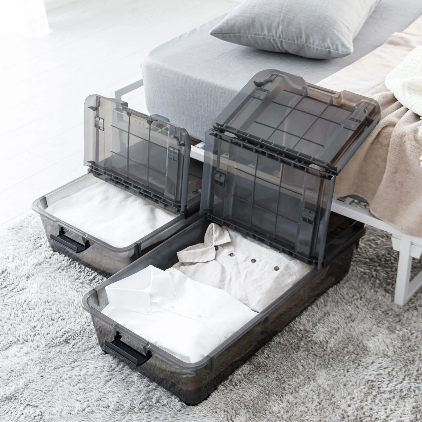 キャリコオレア 浅型 クリアブラウン