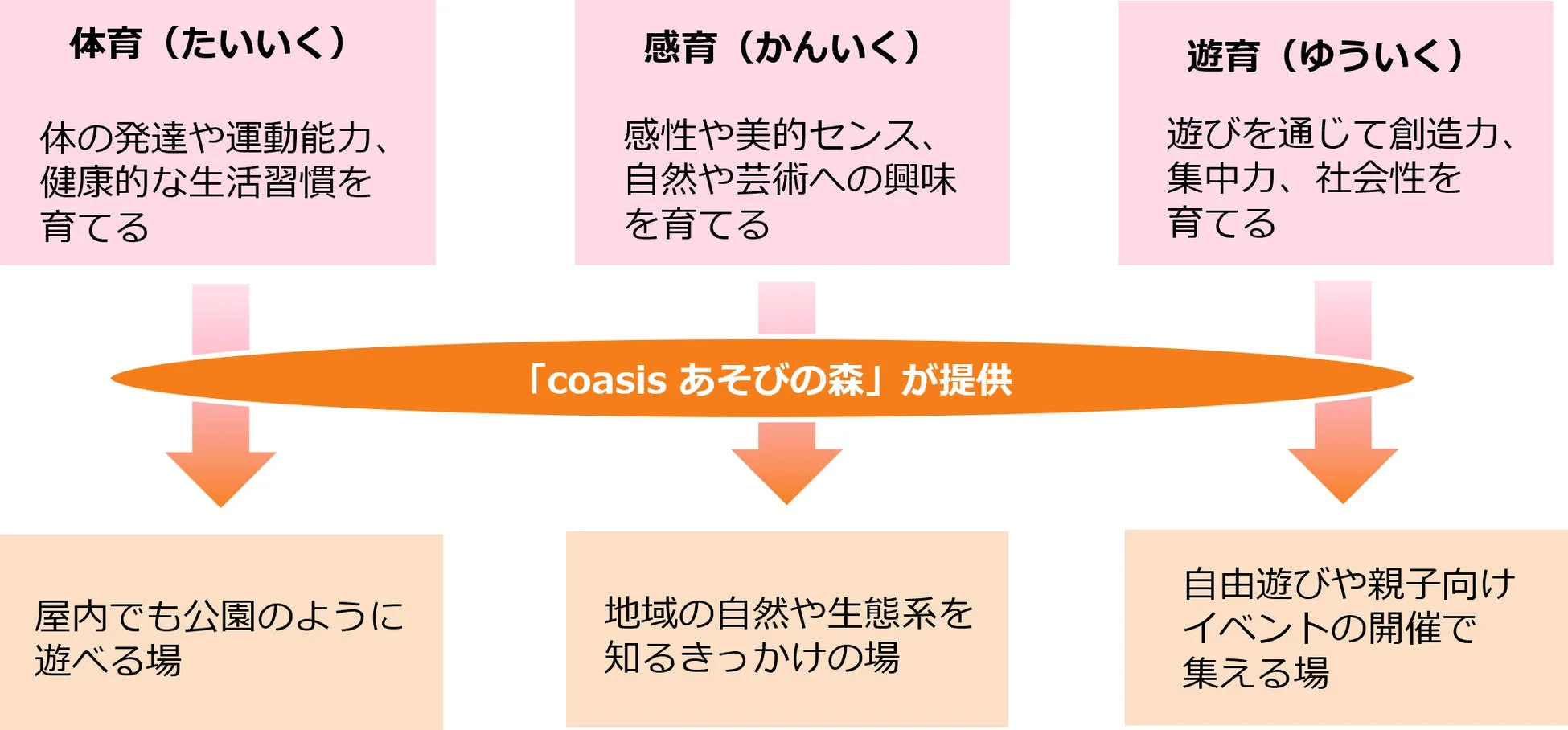 coasis あそびの森のコンセプト