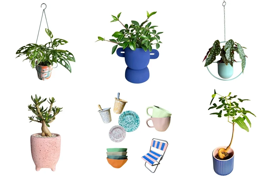 様々な観葉植物とインテリア雑貨