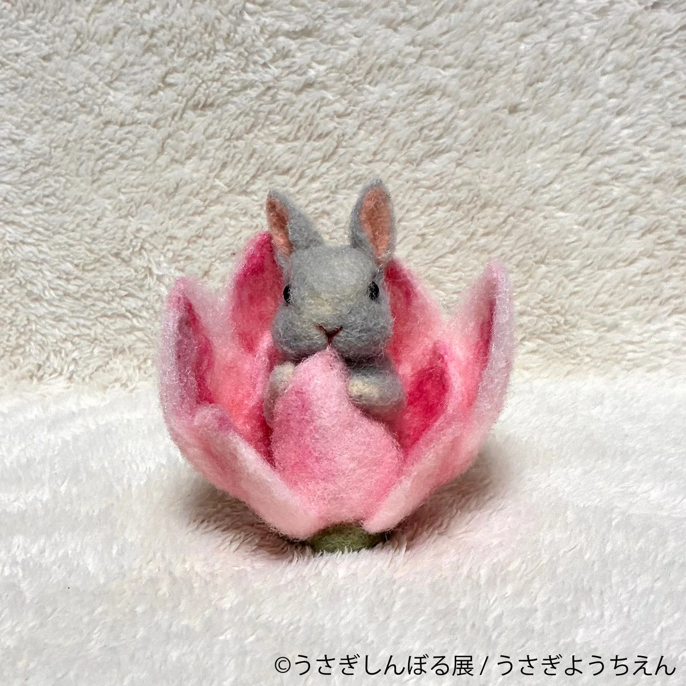 うさぎようちえん 羊毛フェルト