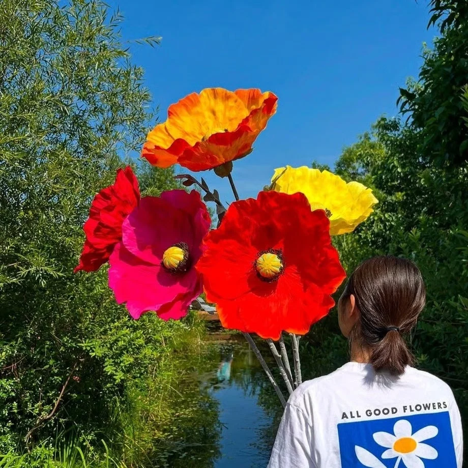 Jumbo Flower Poppy