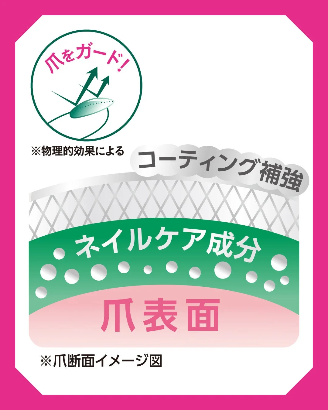 爪のガードイメージ