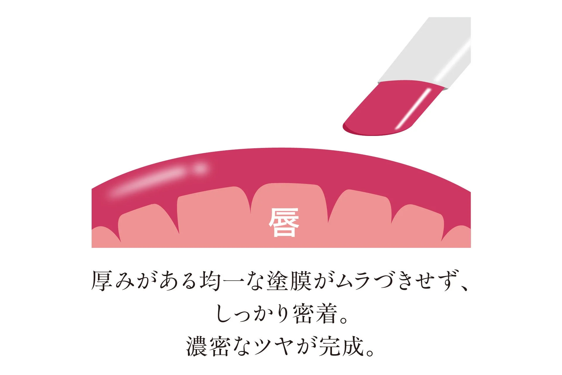 唇 厚みがある均一な塗膜がムラづきせず、しっかり密着。濃密なツヤが完成。