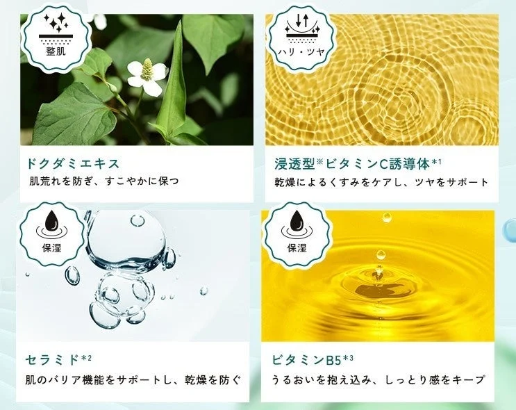 サポート成分解説