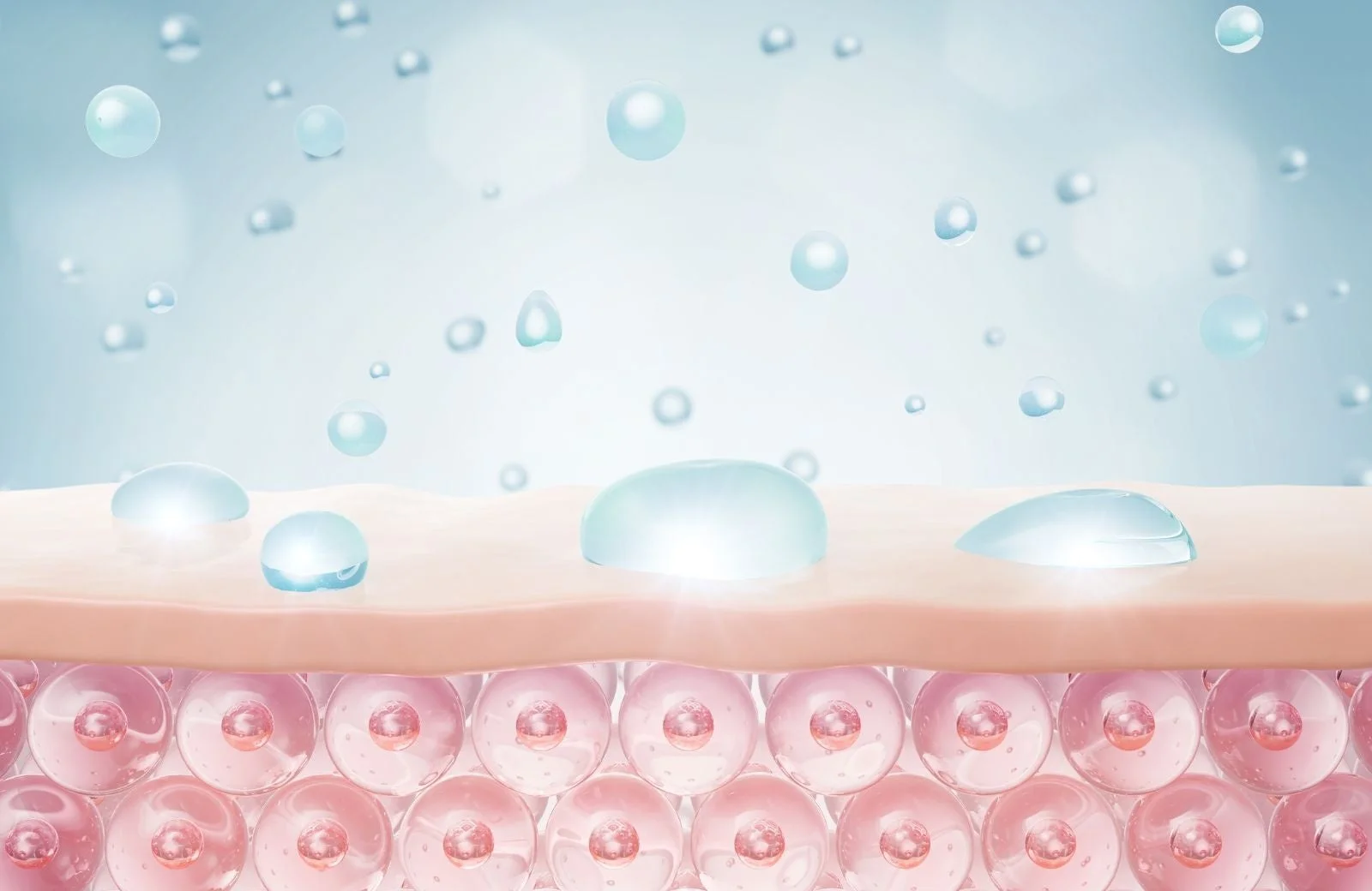 肌の水分と保湿