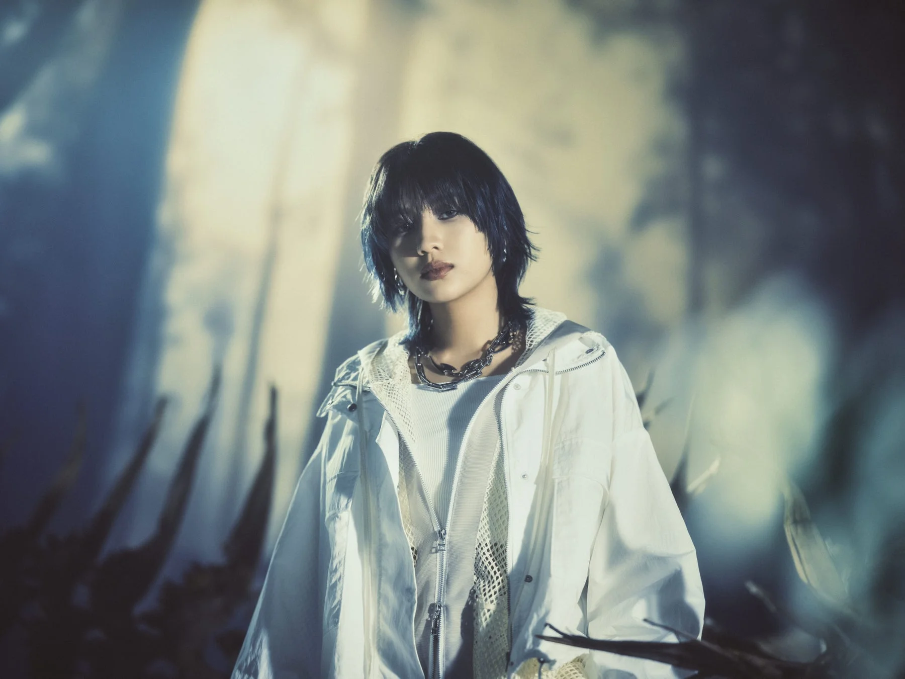 アーティスト画像6