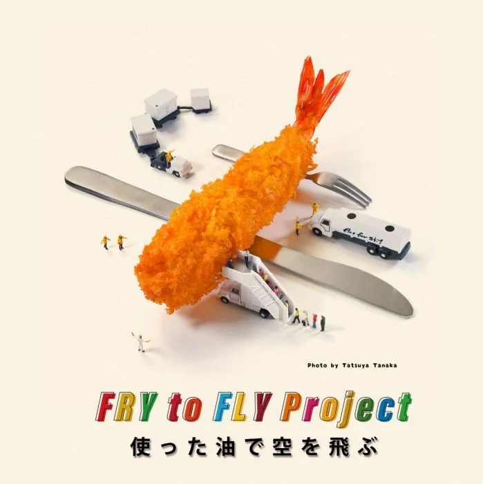 Fry to Fly Projectのイメージ画像