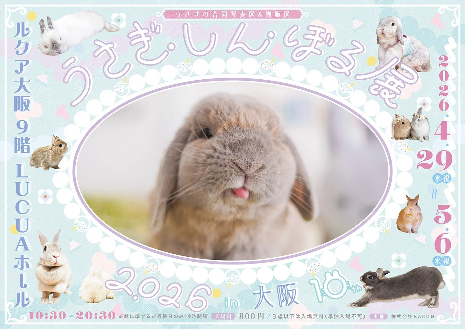 うさぎしんぼる展ポスター