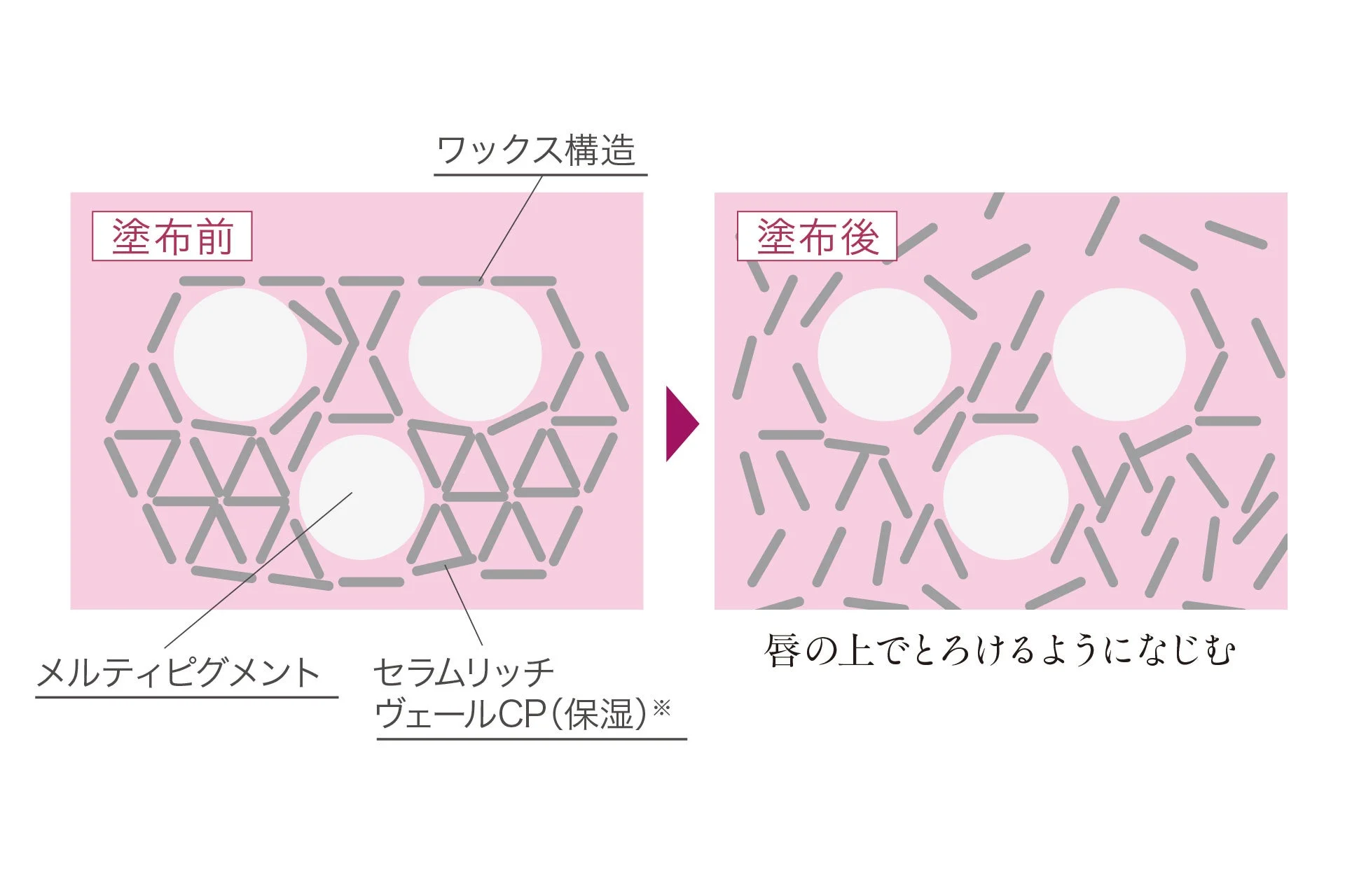 ワックス構造 塗布前 塗布後