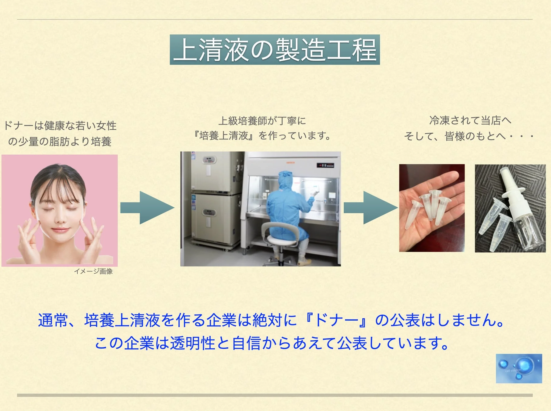 健康な若い女性の脂肪から培養上清液を製造する工程を解説した図。