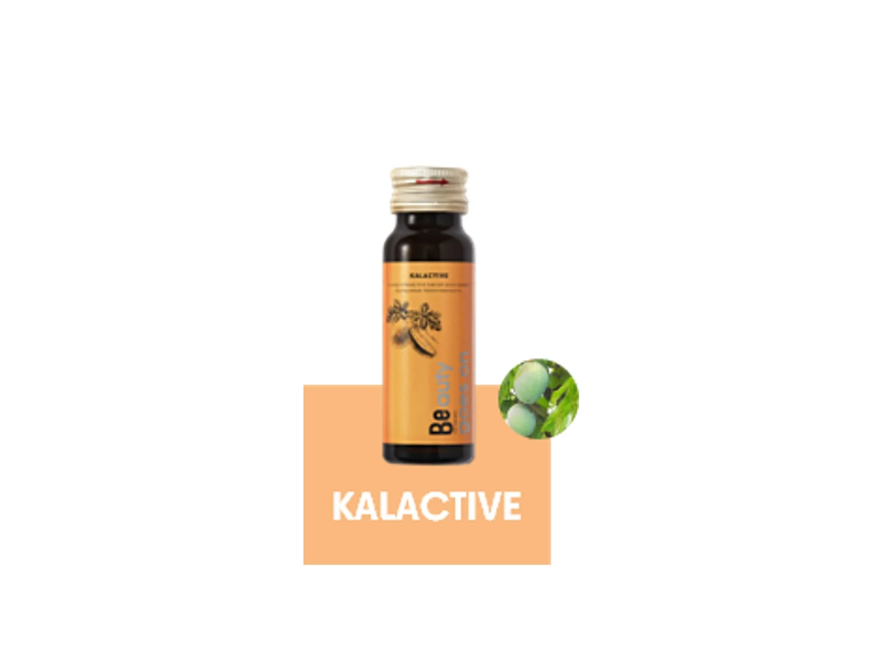 カラアクティブプレゼント