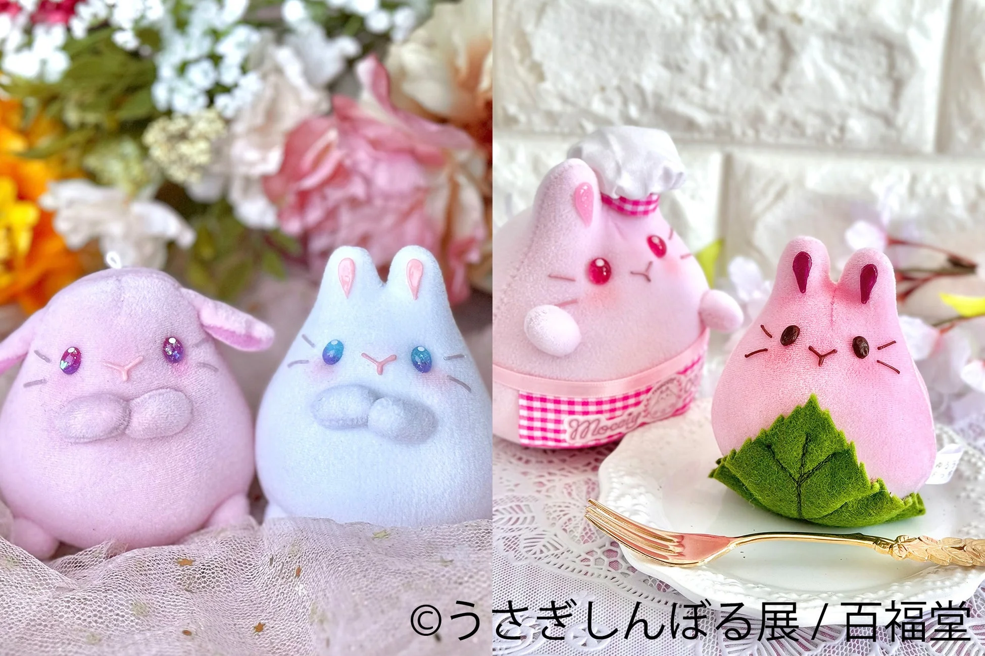 百福堂 もっちー