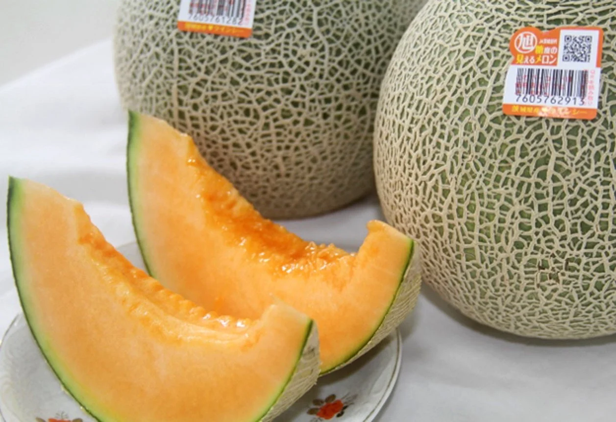 網目模様が特徴的なメロンとカットされたメロンスライス