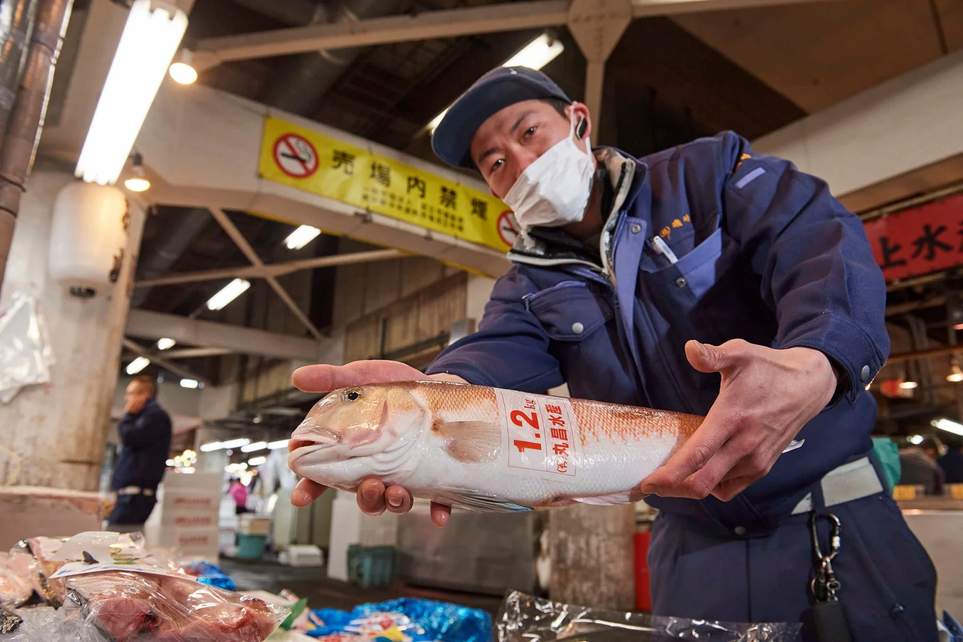 魚市場の様子