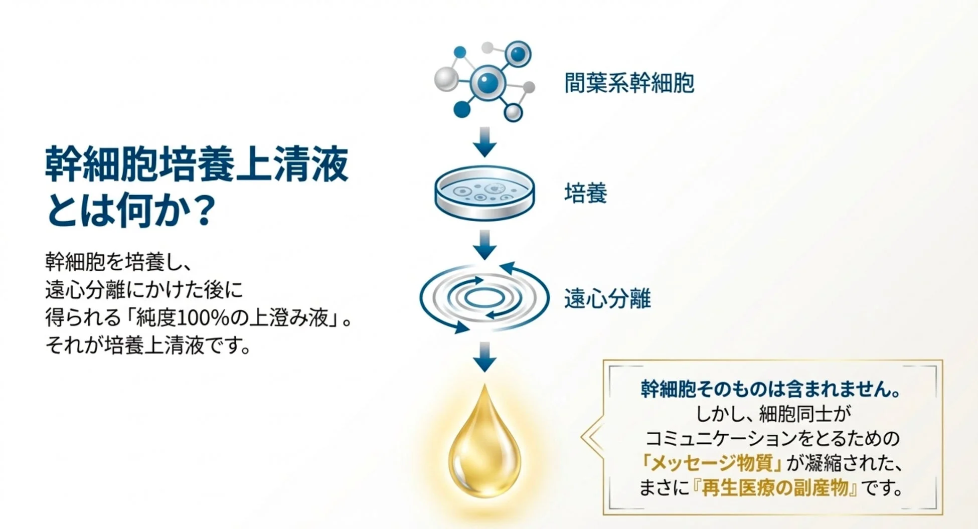 幹細胞培養上清液が何かを説明する画像。
