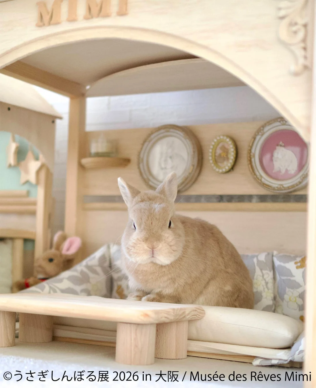 ミニチュアハウスのうさぎ