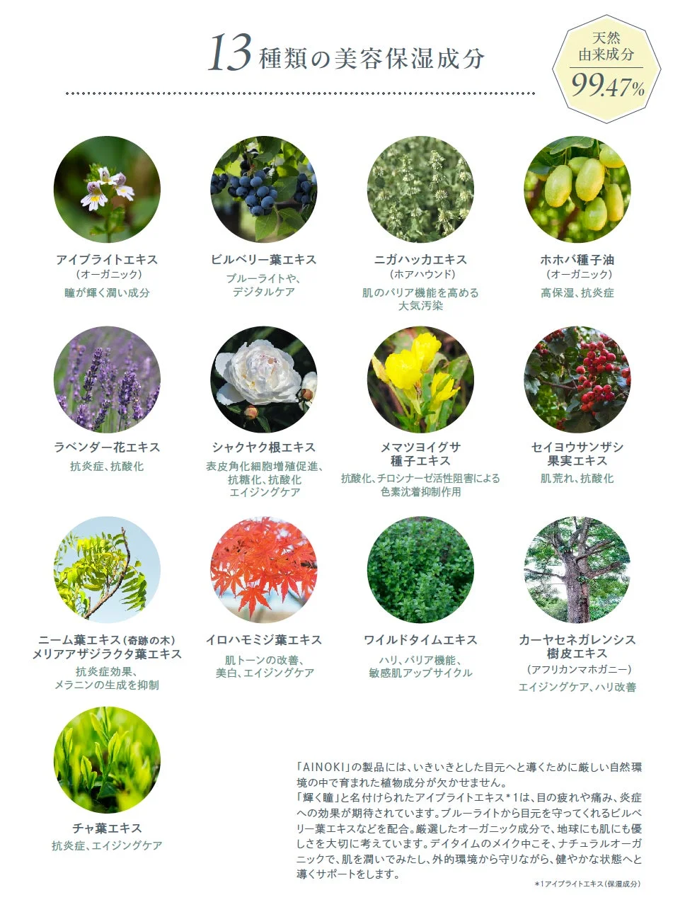 13種類の美容保湿成分