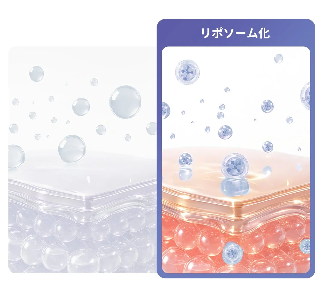 リポソーム化の技術が肌への成分浸透にどのように作用するかを視覚的に比較した画像