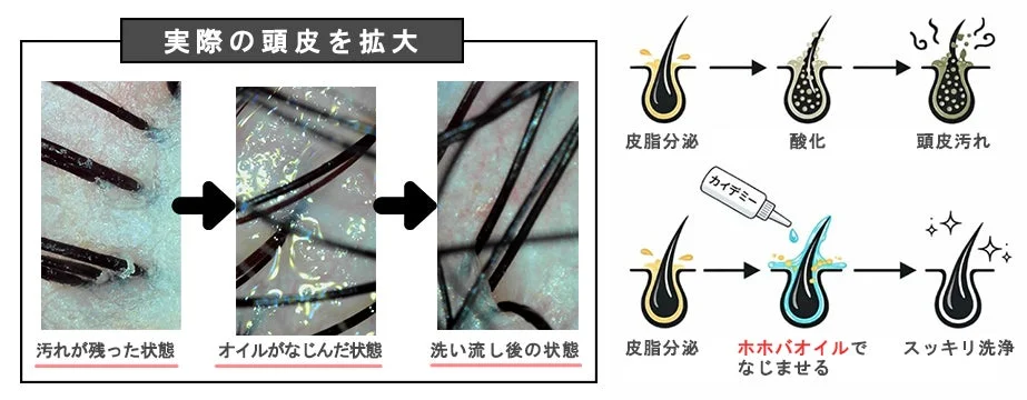 頭皮クレンジング効果の図