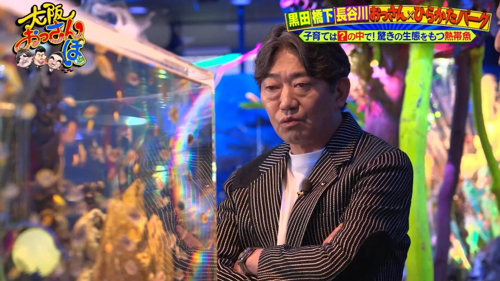 熱帯魚を鑑賞するメッセンジャー黒田、橋下徹、長谷川穂積
