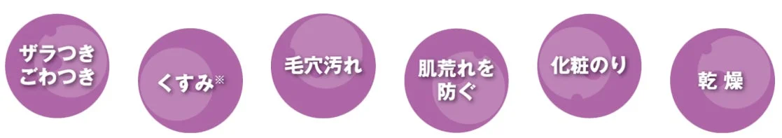 この画像は、ザラつき、ごわつき、くすみ、毛穴汚れ、肌荒れ、化粧のり、乾燥といった様々な肌の悩みを紫色の円形アイコンで示しています。肌トラブルの改善や予防に関連する内容を表していると考えられます。