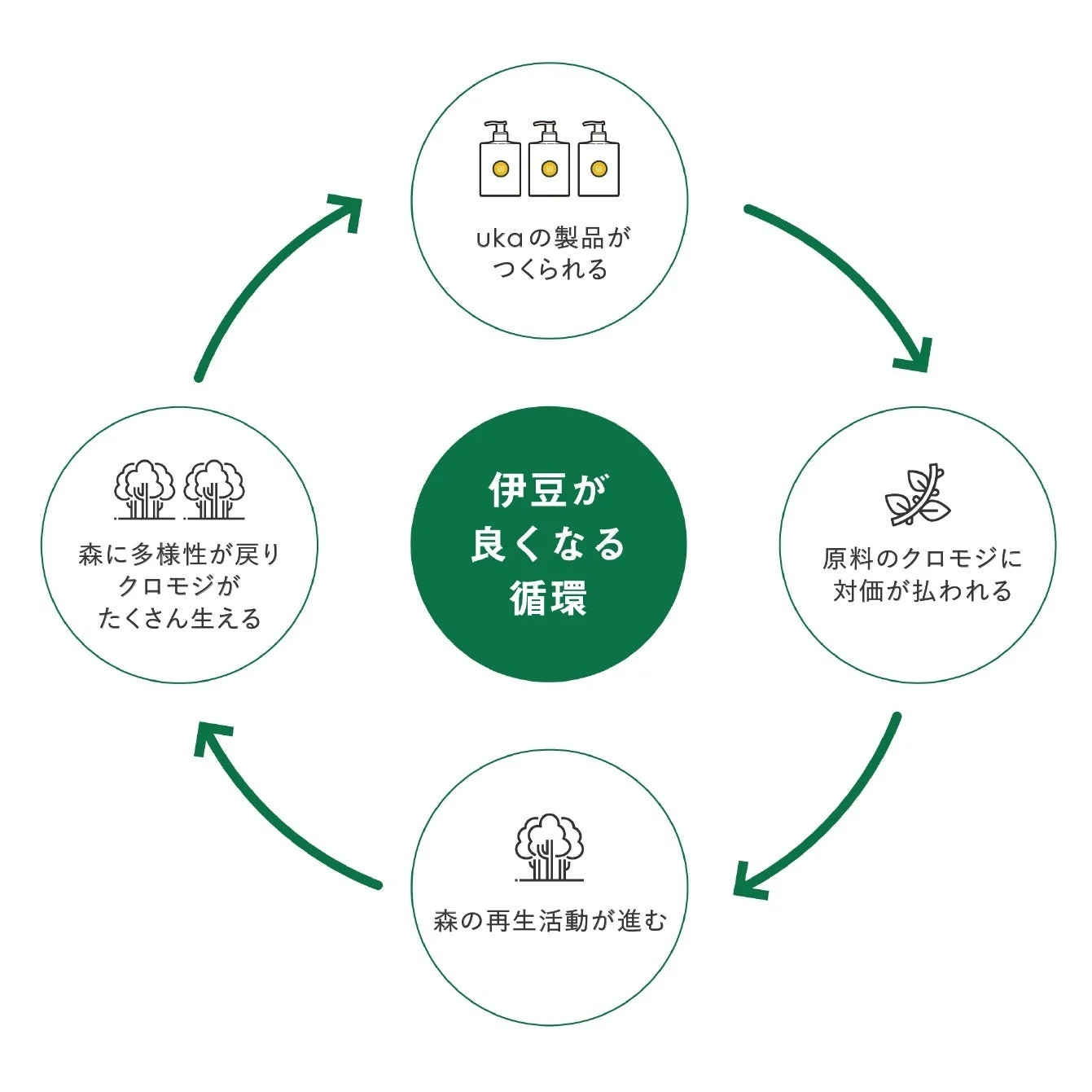 伊豆の循環