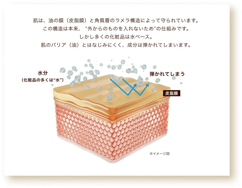肌のバリア機能
