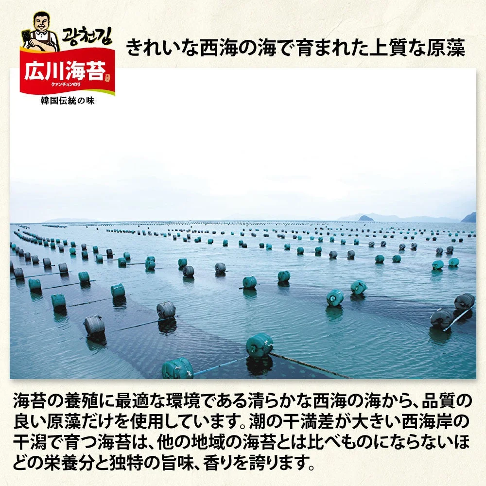 海苔の養殖風景