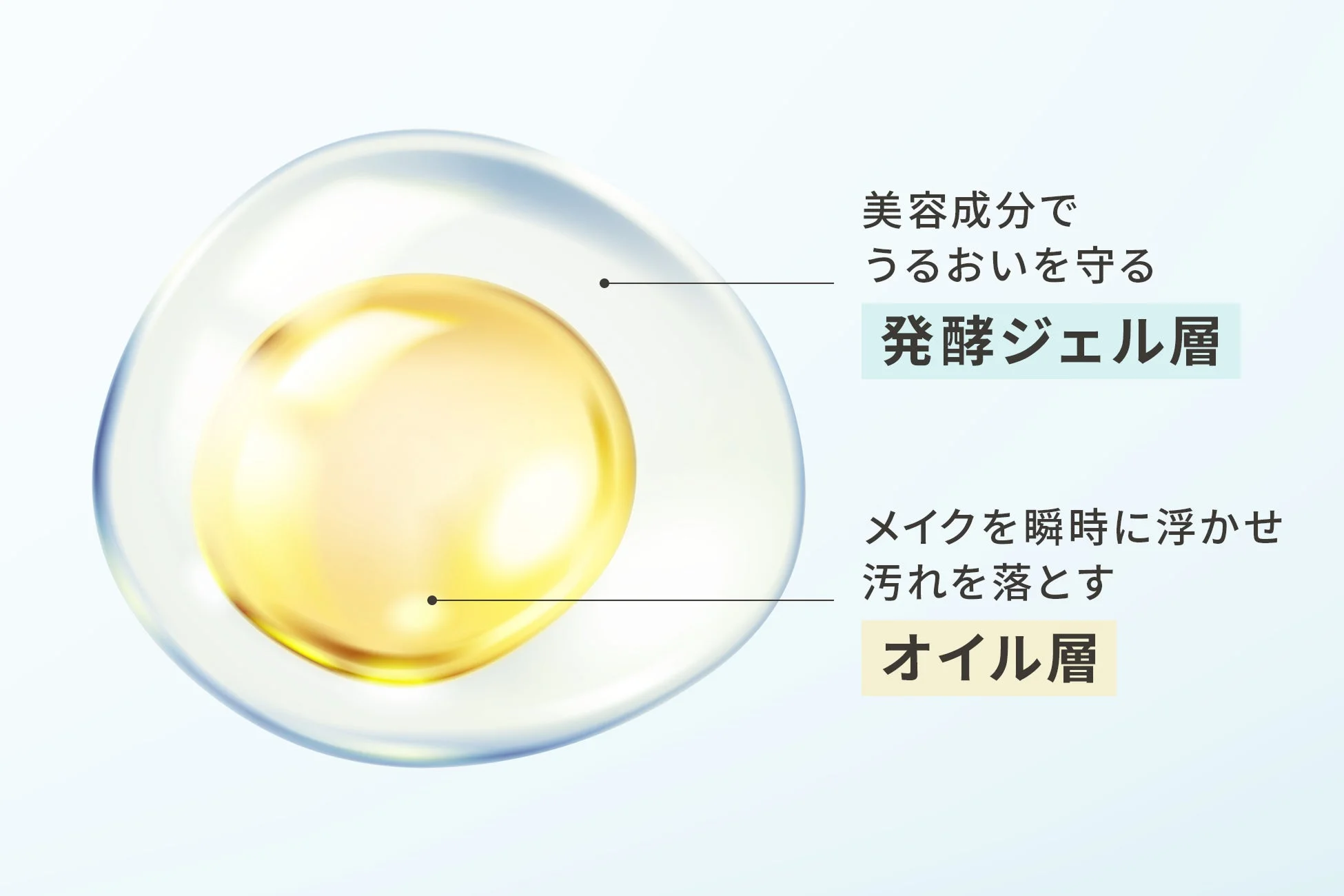 発酵ジェル包みオイル 処方図