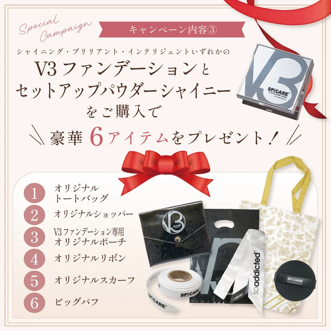 V3ファンデーション+セットアップパウダー スペシャルセット
