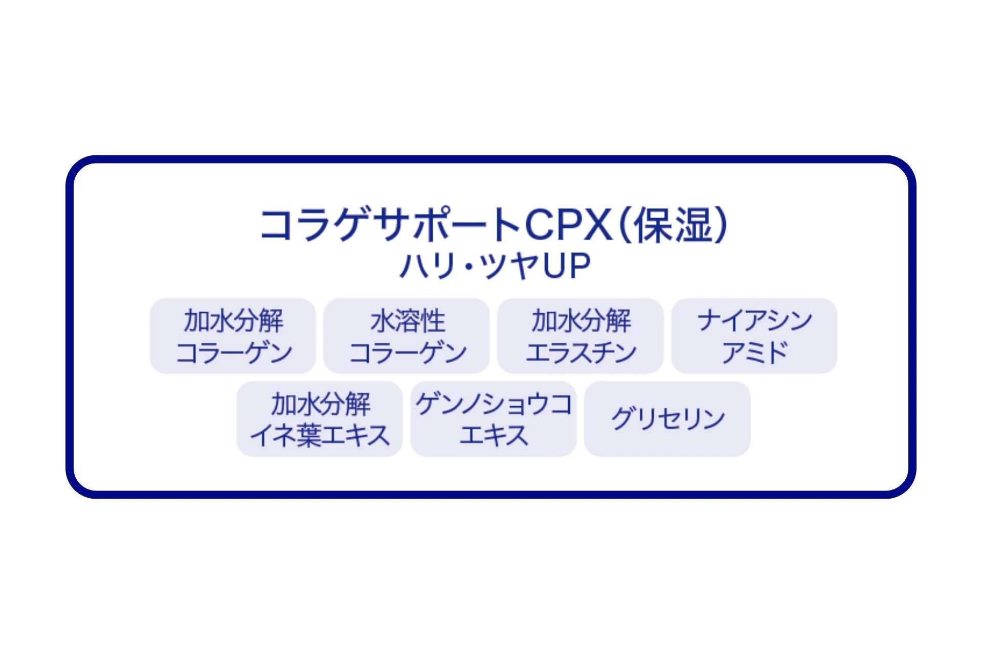 コラゲサポートCPX（保湿）とハリ・ツヤを向上させるための美容成分をリストアップ
