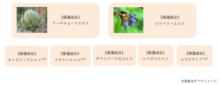 様々な植物由来の保湿成分