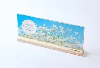 芽が出るカレンダー