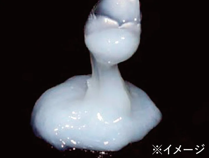 バームイメージ