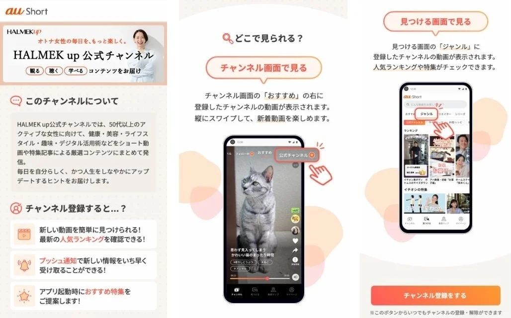 HALMEK up 公式チャンネル画面