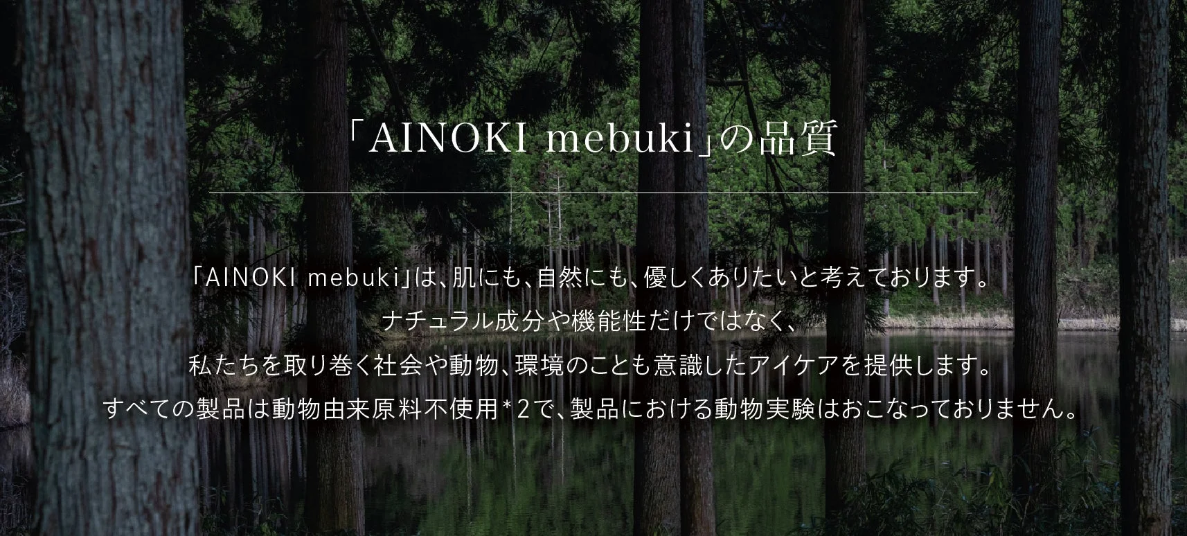 AINOKI mebuki 品質