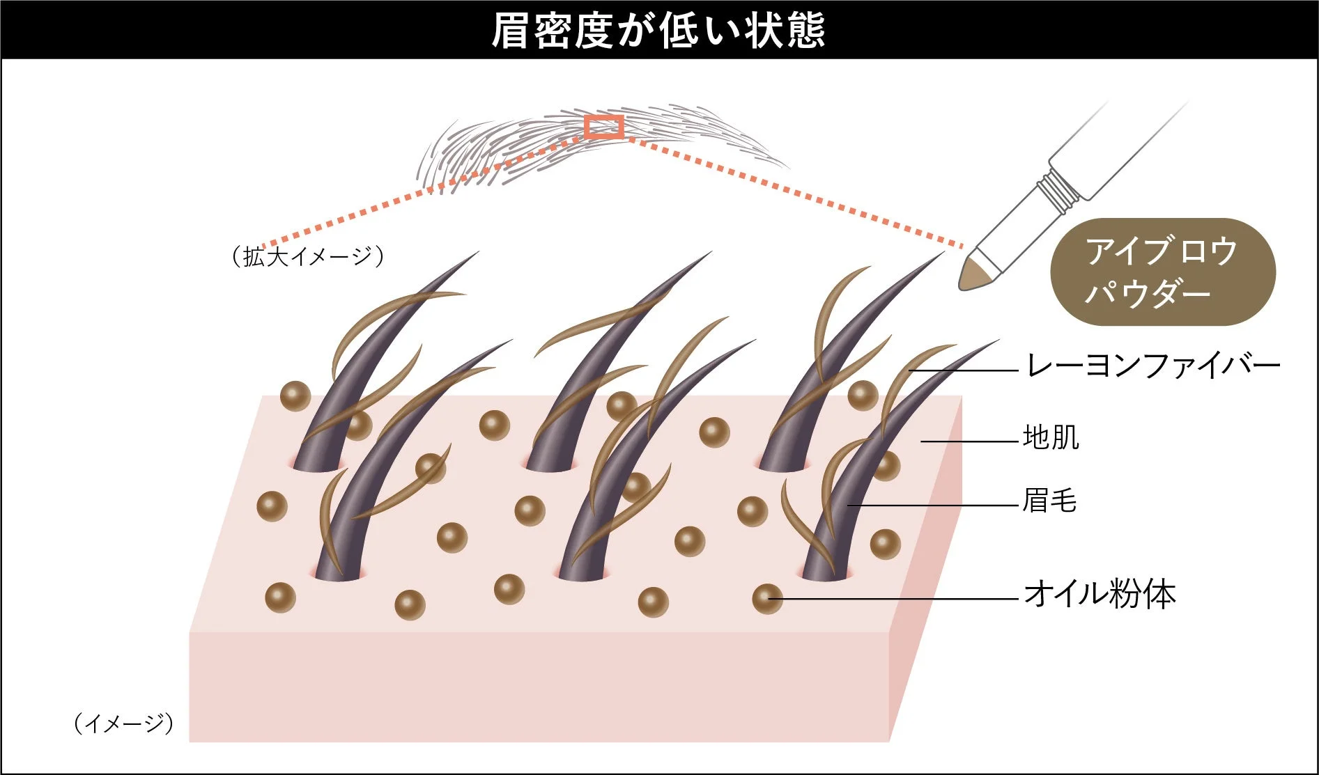 アイブロウパウダー技術解説