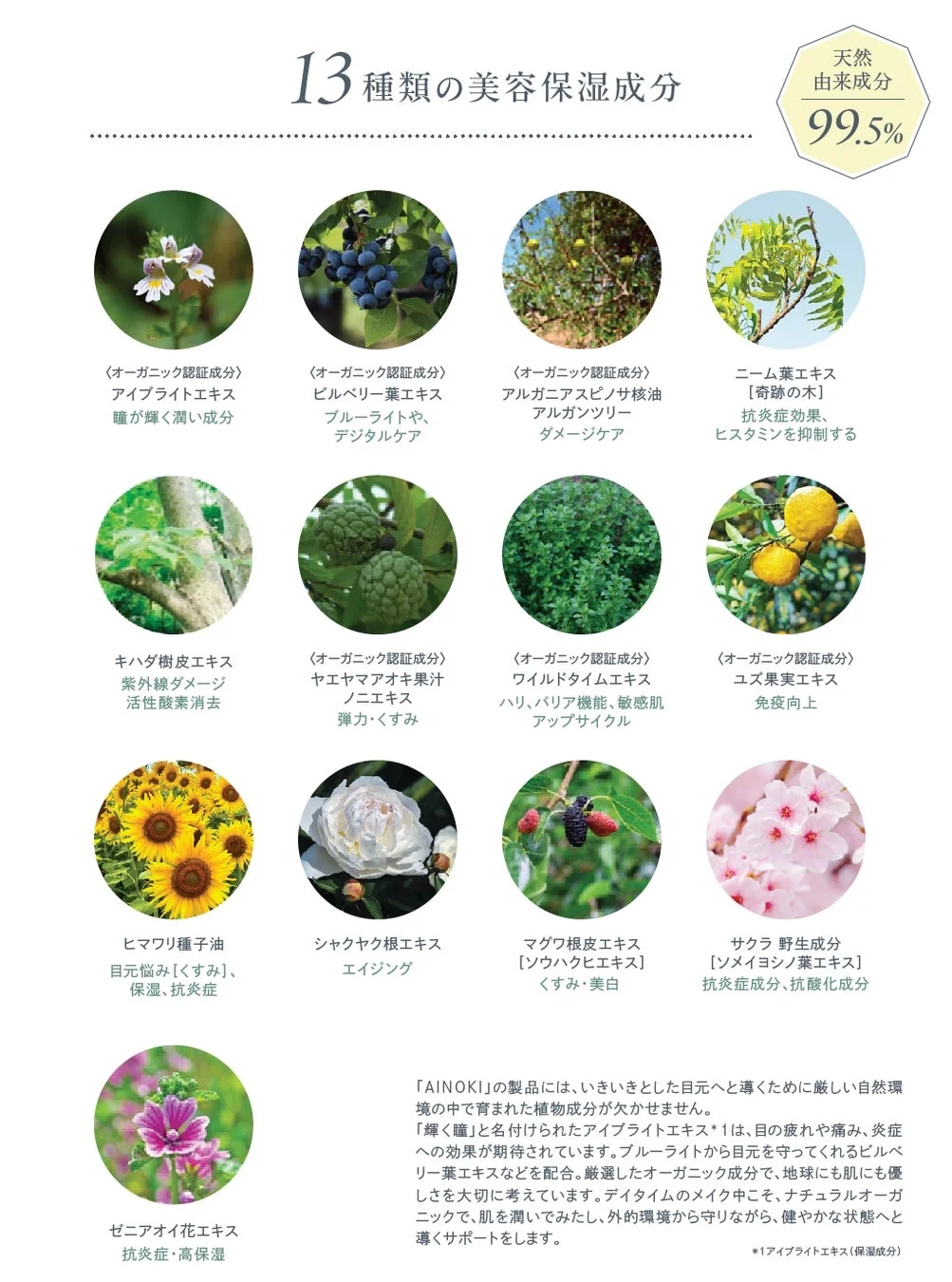 AINOKI 13種類の美容保湿成分